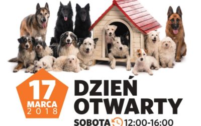 DZIEŃ OTWARTY w SCHRONISKU FUNDACJI PRZYJACIELE BRACI MNIEJSZYCH NOWY DWÓR MAZOWIECKI