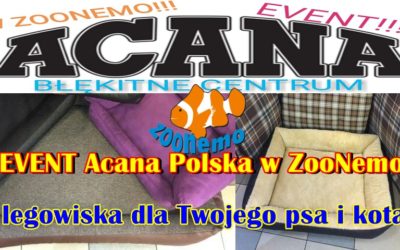 EVENT Acana Polska w ZooNemo, legowiska dla Twojego psa i kota