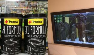 Nowa karma firmy Tropical w żelu w sklepach ZooNemo. Jedno z naszych akwariów, po zakończeniu prac