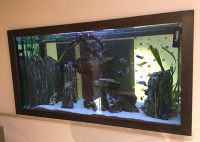 Urządzanie zbiorników wodnych Zoonemo (2)