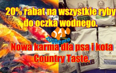 20% rabat na wszystkie ryby do oczka wodnego. Nowa karma dla psa i kota Country Taste