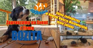Zapraszamy na Event z firmą Bozita. Sklep zoologiczny w Nowym Dworze Mazowieckim, małe zmiany