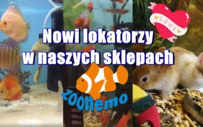 Nowi lokatorzy w sklepach zoologicznych ZooNemo!