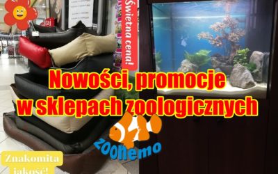 Nowości, promocje w sklepach zoologicznych ZooNemo