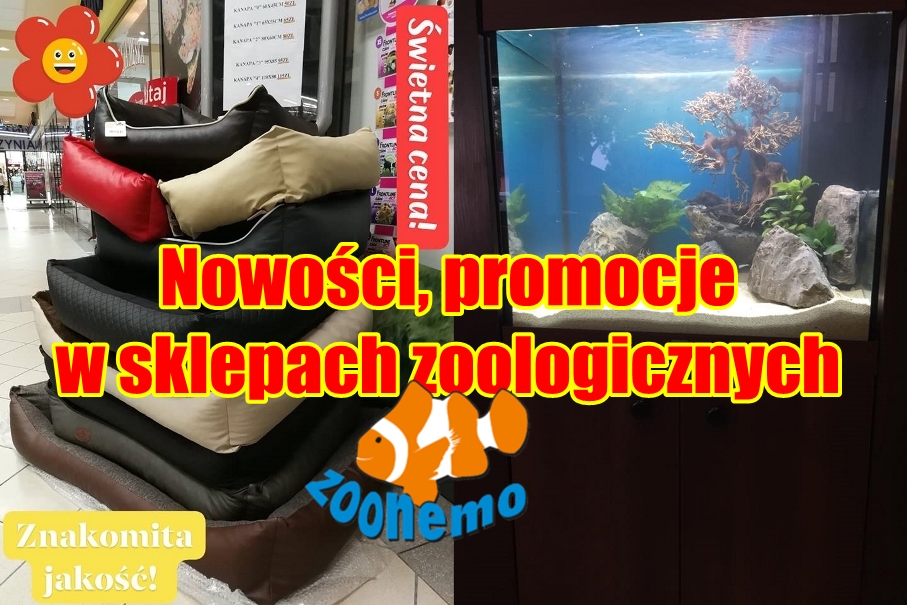 Nowości, promocje w sklepach zoologicznych ZooNemo