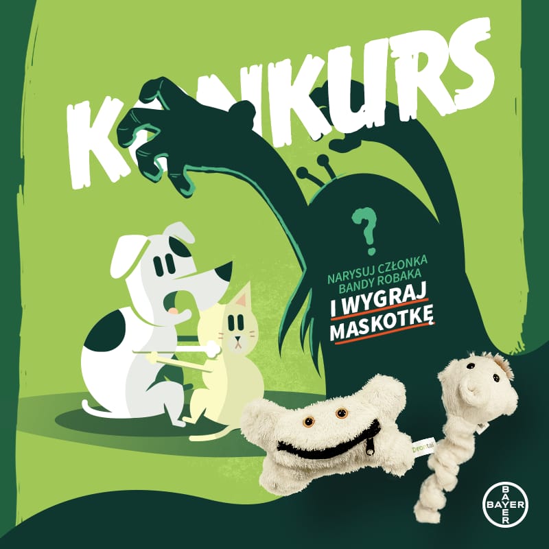 Konkurs dla dzieci w sklepach zoologicznych ZooNemo! Do wygrania maskotki! – AKTUALIZACJA