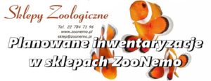 Planowane inwentaryzacje w sklepach ZooNemo