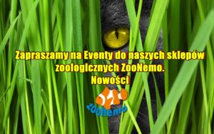 Zapraszamy na Eventy do naszych sklepów zoologicznych  ZooNemo. Nowości
