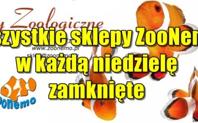 Wszystkie sklepy ZooNemo w każdą niedzielę zamknięte