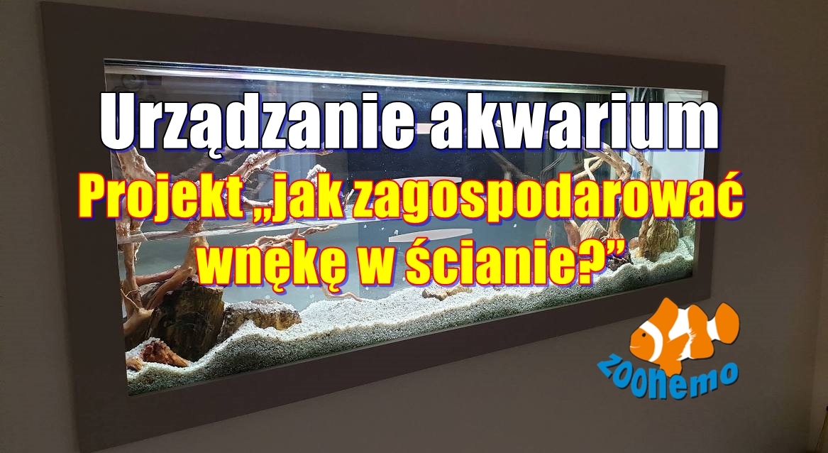 Urządzanie akwarium. Projekt „jak zagospodarować wnękę w ścianie” Akwarium na zamówienie