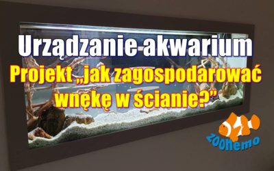 Urządzanie akwarium. Projekt „jak zagospodarować wnękę w ścianie?” Akwarium na zamówienie