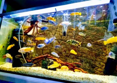 Odwiedziny małych akwarystów w sklepie zoologicznym ZooNemo Legionowo Błękitne Centrum (3)