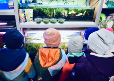 Odwiedziny małych akwarystów w sklepie zoologicznym ZooNemo Legionowo Błękitne Centrum (2)