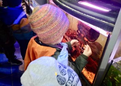 Odwiedziny małych akwarystów w sklepie zoologicznym ZooNemo Legionowo Błękitne Centrum (5)