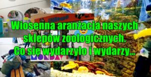 Wiosenna aranżacja naszych sklepów zoologicznych. Co się wydarzyło i wydarzy…