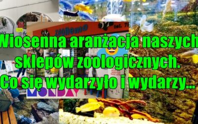 Wiosenna aranżacja naszych sklepów zoologicznych. Co się wydarzyło i wydarzy…