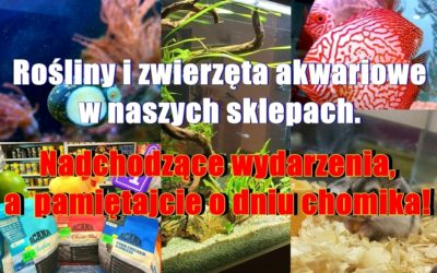 Rośliny i zwierzęta akwariowe w naszych sklepach. Nadchodzące wydarzenia, a  pamiętajcie o dniu chomika!