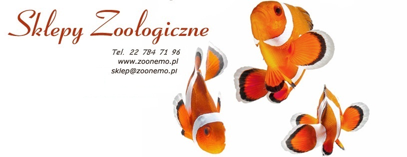 18 MAJA - Dni z Farmina w Błękitnym Centrum ZooNemo Legionowo