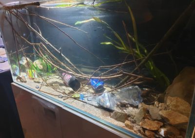 Międzynarodowe Dni Akwarystyki sklepy zoologiczne ZooNemo (20)
