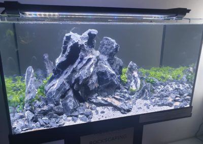 Międzynarodowe Dni Akwarystyki sklepy zoologiczne ZooNemo (8)