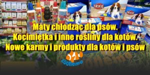 Maty chłodząc dla psów i kotów. Kocimiętka i inne rośliny dla kotów. Nowe karmy i produkty dla kotów i psów