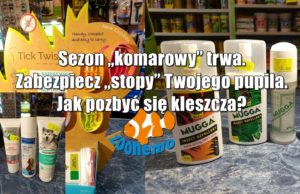 Sezon „komarowy” trwa. Zabezpiecz „stopy” Twojego pupila. Jak pozbyć się kleszcza?