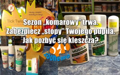 Sezon „komarowy” trwa. Zabezpiecz „stopy” Twojego pupila. Jak pozbyć się kleszcza?