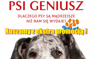 Ruszamy z ekstra promocją!