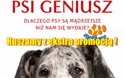 Ruszamy z ekstra promocją!