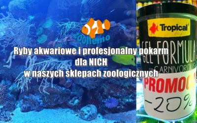 Ryby akwariowe i profesjonalny pokarm dla NICH w naszych sklepach zoologicznych