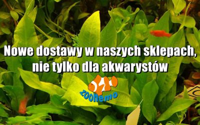 Nowe dostawy w naszych sklepach, nie tylko dla akwarystów