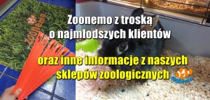 Zoonemo z troską o najmłodszych klientów oraz inne informacje z naszych sklepów zoologicznych