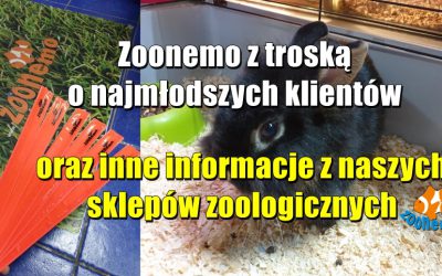 Zoonemo z troską o najmłodszych klientów oraz inne informacje z naszych sklepów zoologicznych