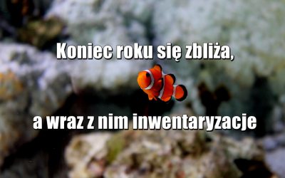 Koniec roku się zbliża, a wraz z nim inwentaryzacje