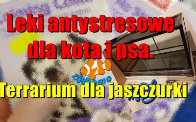 Leki antystresowe dla kota i psa. Terrarium dla jaszczurki