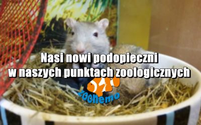 Nasi nowi podopieczni w naszych punktach zoologicznych ZooNemo