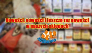 Nowości, nowości i jeszcze raz nowości w Naszych sklepach ZooNemo