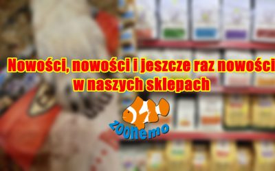 Nowości, nowości i jeszcze raz nowości w Naszych sklepach ZooNemo