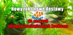 Nowy rok i nowe dostawy do naszych sklepów zoologicznych ZooNemo