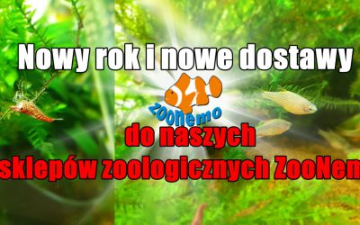 Nowy rok i nowe dostawy do naszych sklepów zoologicznych ZooNemo