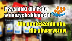 Przysmaki dla Psów w naszych sklepach! Dla pocieszenia oka, dla akwarystów