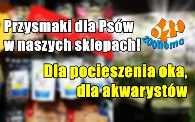 Przysmaki dla Psów w naszych sklepach! Dla pocieszenia oka, dla akwarystów