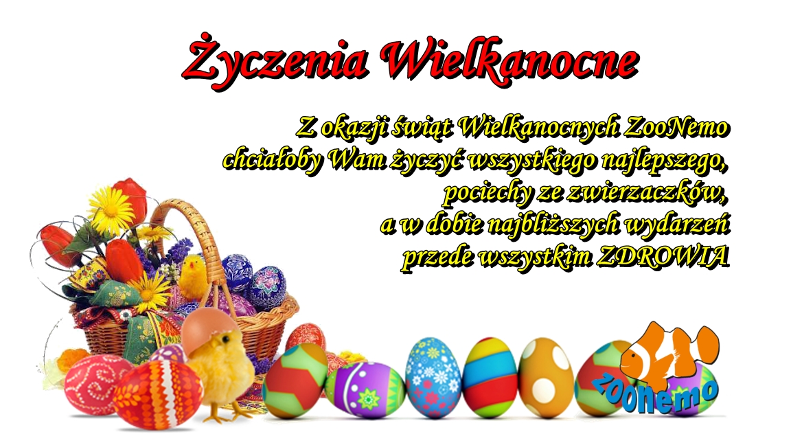 Życzenia ZooNemo