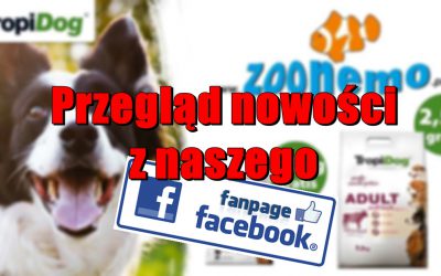 Przegląd nowości z naszego Fanpage