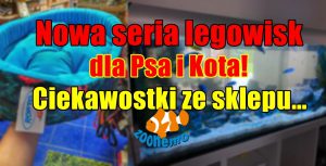 Nowa seria legowisk dla Psa I Kota. Ciekawostki ze sklepu…