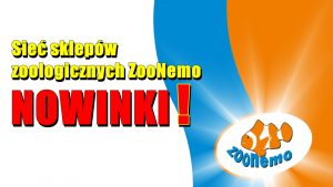 Sieć sklepów zoologicznych ZooNemo – NOWINKI !