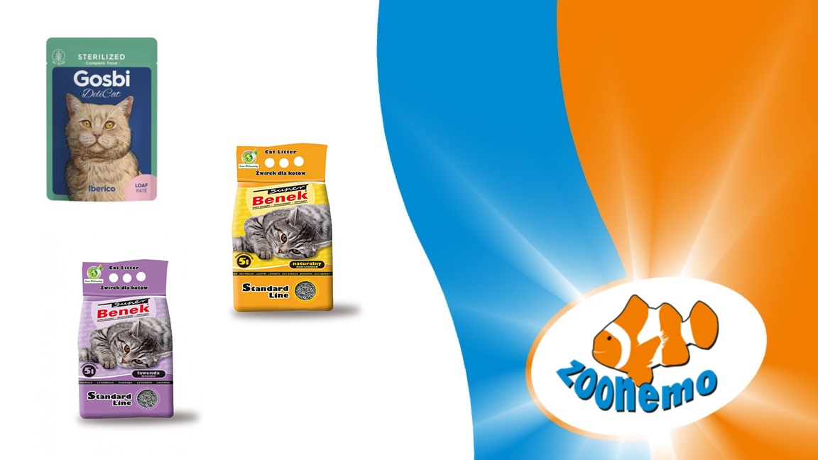 PROMOCJE NA LIPIEC w sklepach ZOONEMO!