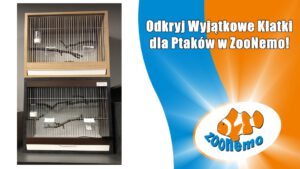Odkryj Wyjątkowe Klatki dla Ptaków w ZooNemo – Legionowo i Nowy Dwór Mazowiecki!
