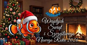 Magiczne Święta z ZooNemo – Najlepsze życzenia dla Was i Waszych Pupili!