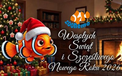 Magiczne Święta z ZooNemo – Najlepsze życzenia dla Was i Waszych Pupili!